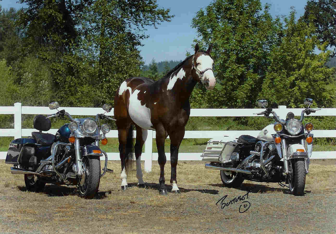 Remington