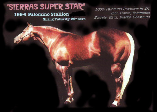 Sierra Super Star